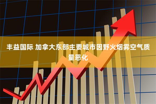 丰益国际 加拿大东部主要城市因野火烟雾空气质量恶化