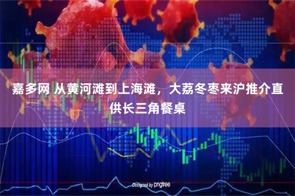 嘉多网 从黄河滩到上海滩，大荔冬枣来沪推介直供长三角餐桌